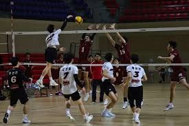 乒乓球——亚洲杯：张本美和晋级八强